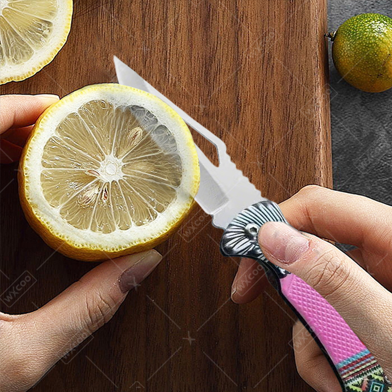 WXCOO Folding Knife Stainless  – Kitchen Baking Store recenzja i cena